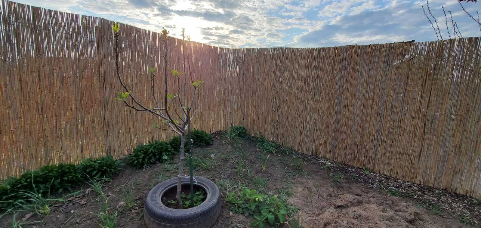 Rogojina stuf cusuta cu sarma zincata,  SNOPI STUF SORTAT , Factura