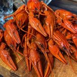 Живые и вареные раки! Морепродукты и др.