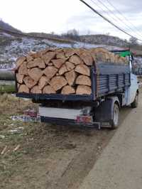 SC transportă lemne de foc Fag uscate sau verzi cubate corect