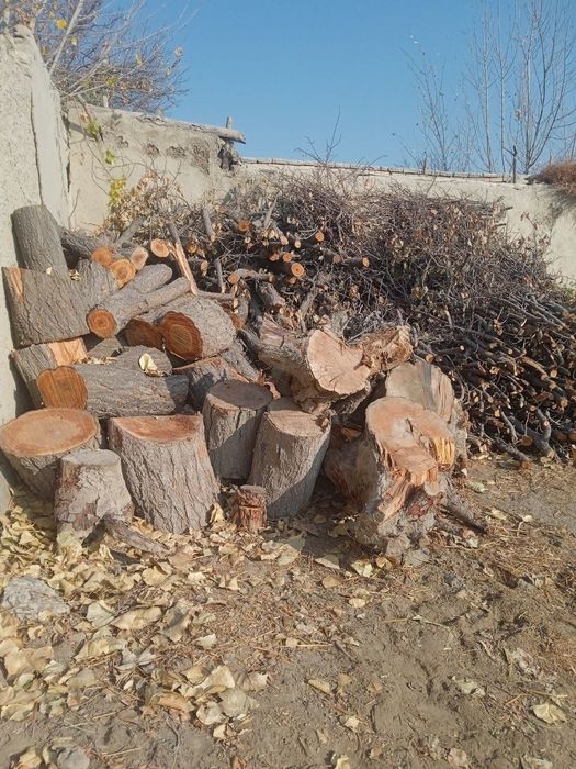 Beda va oʻrik oʻtini sotiladi