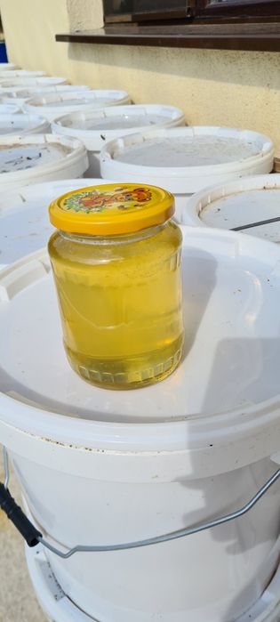 Miere de salcam vrac si ambalata la borcane