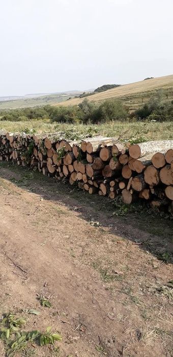 Vand lemne de foc carpen