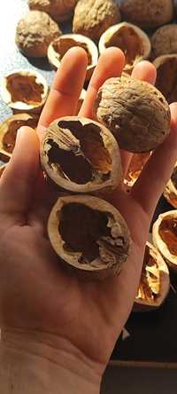 Черупка от едър орех за Handmade декорации