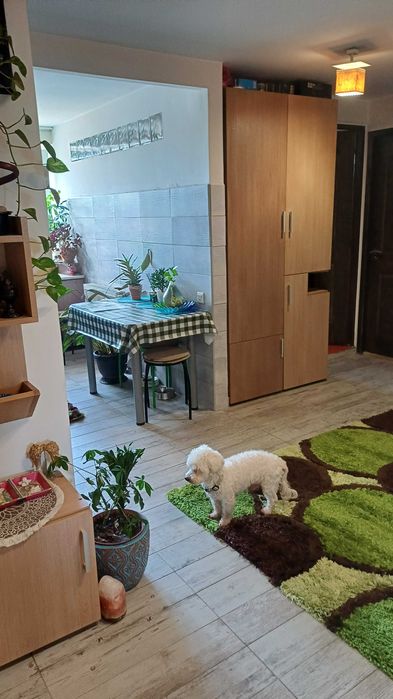 Apartamentul de vânzare