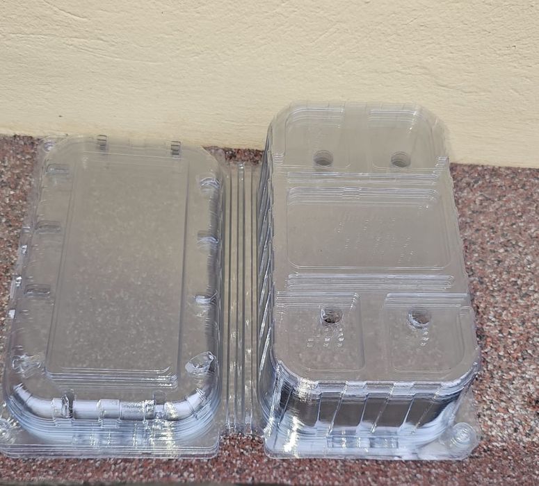 Caserole Fructe 500 gr