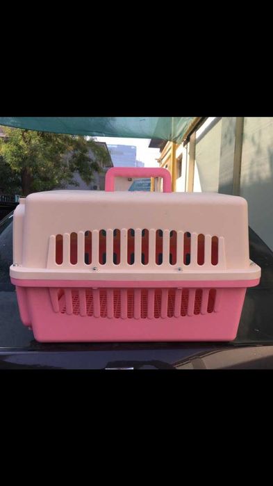 Места для кошка домик