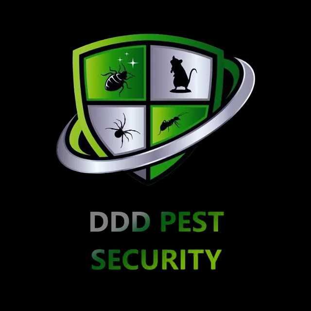 DDD - Servicii  profesionale de dezinsecție, deratizare si dezinfecție