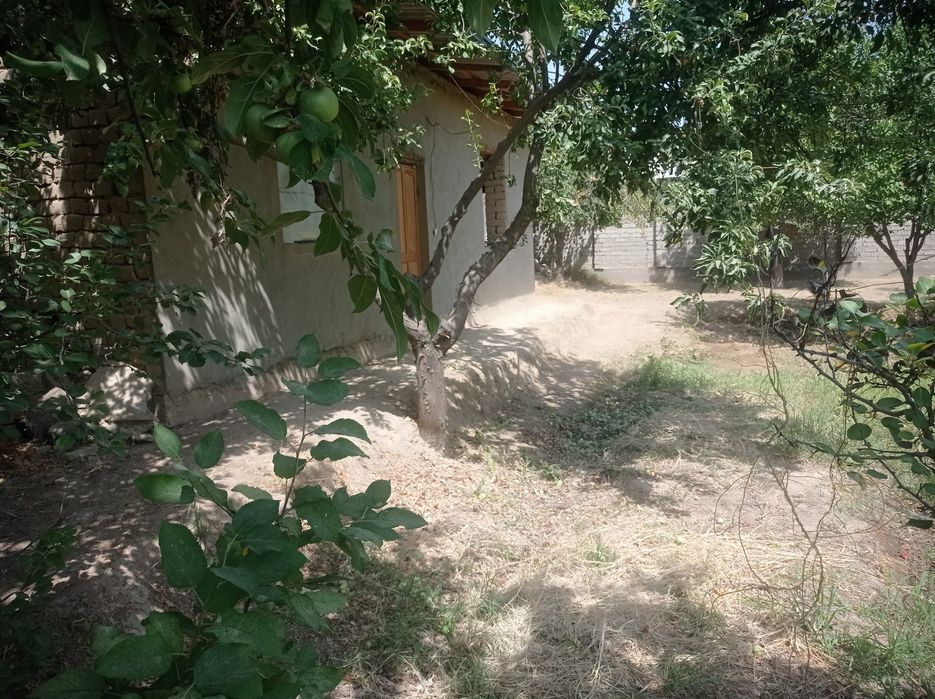 Aralovul mahallasidan 6 sutikli uchastka sotiladi,