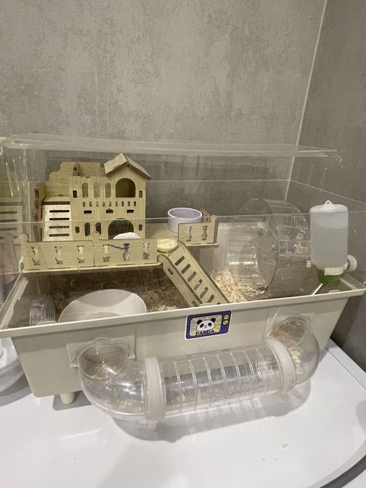 Хомяк и клетка в комплекте