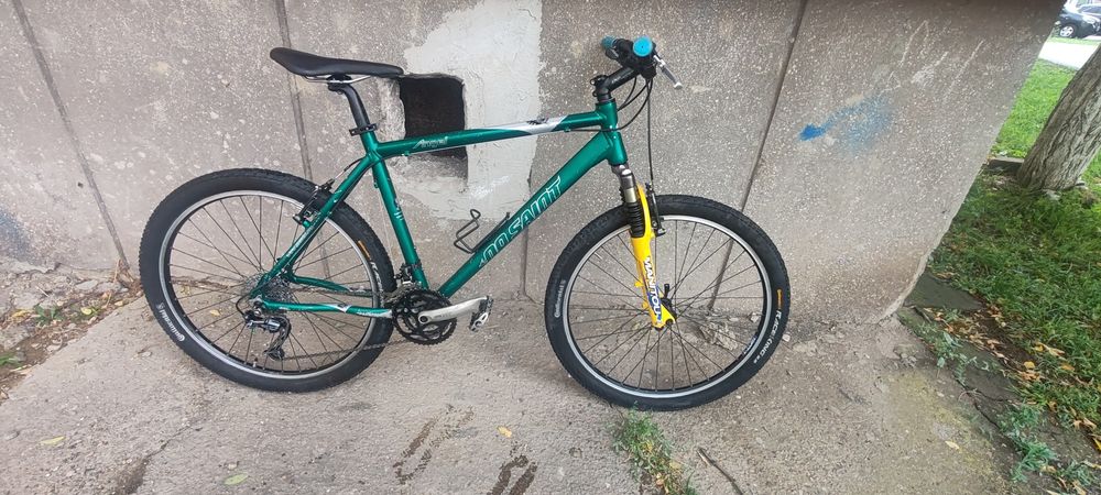 Bicicleta mountain bike