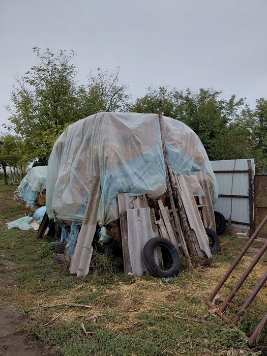 Baloti lucerna de vanzare