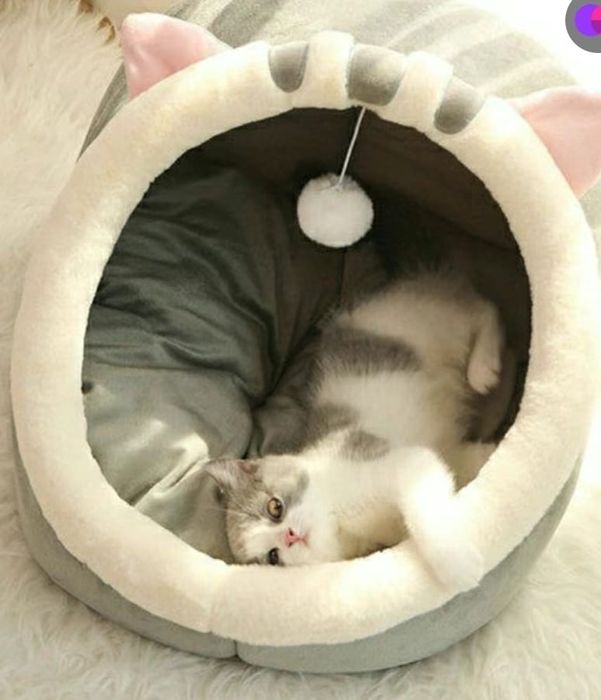 Лежанка для кошек