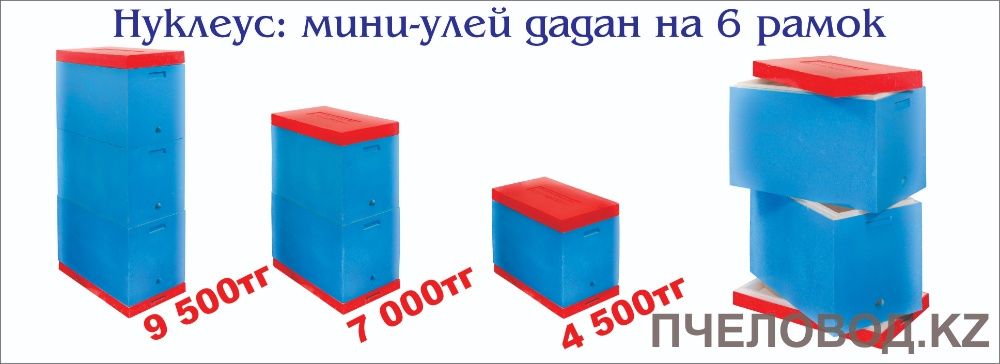 Нуклеус: мини-улья для пчёлы, для вывода маток 6 рамок дадан