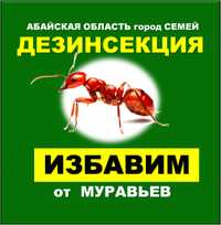 Дезинфекция муравьев уничтожение муравьев құмырсқаны жою