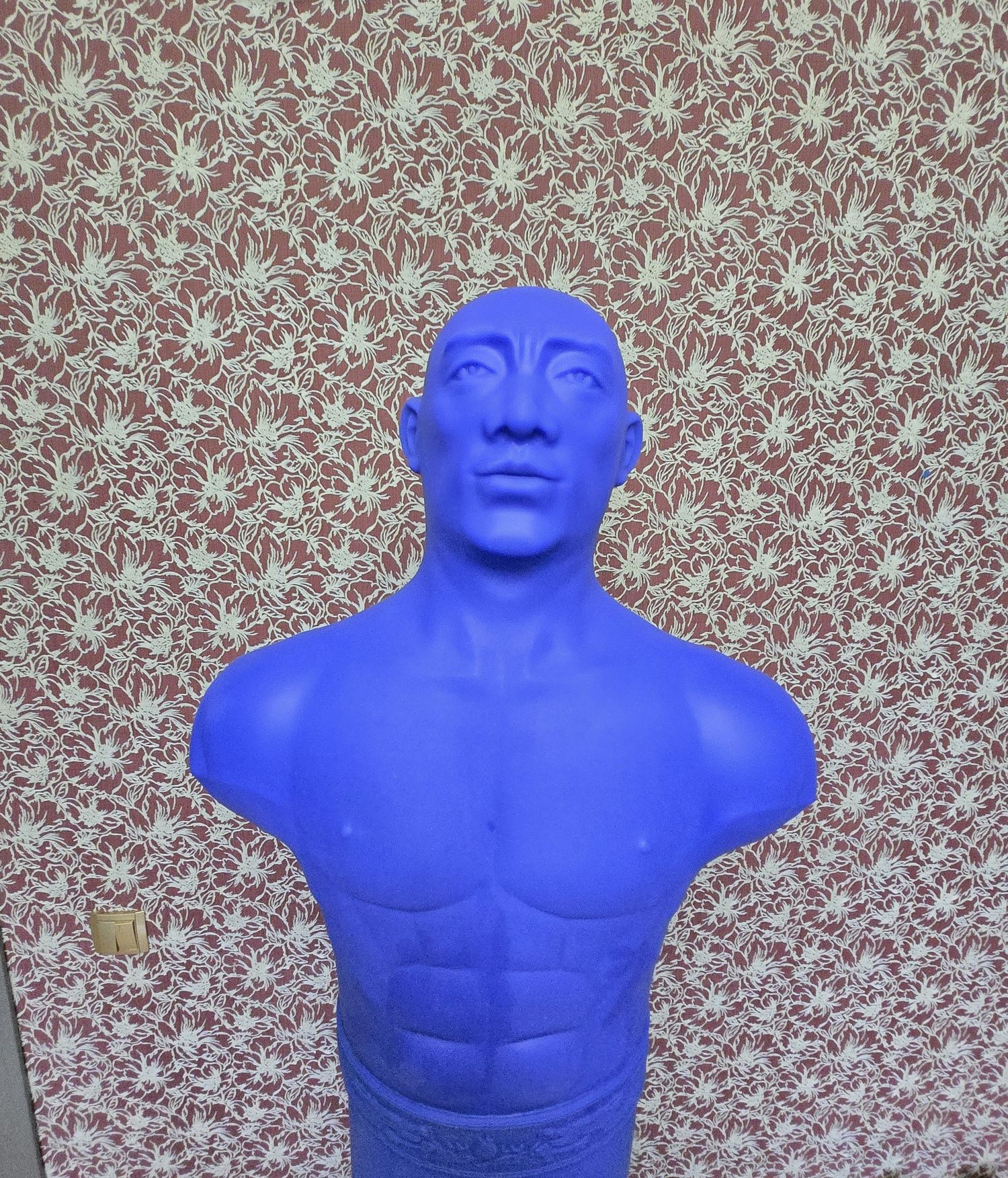 Тренировочный Снаряд