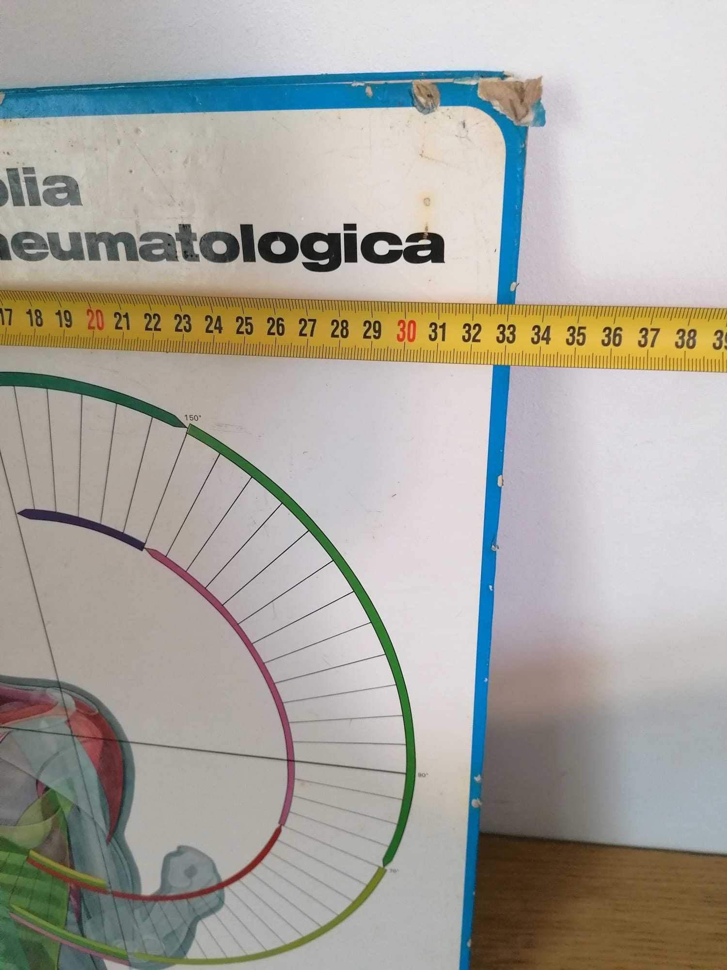 Atlas reumatologic ilustrat 1979