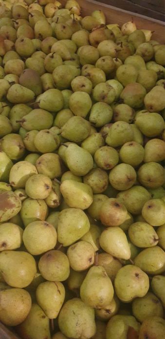 Vand pere de tuica