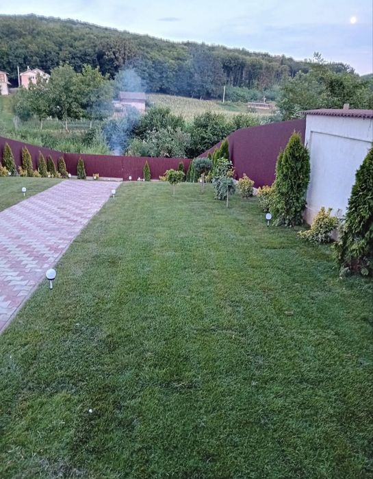 Plante Ormantale si Gazon Rulou CALITATE EXTRA