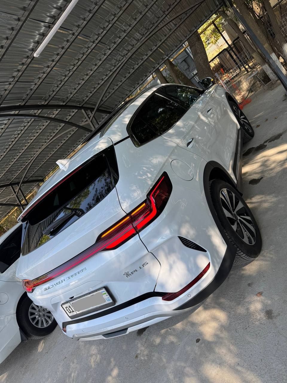 Byd champion ev 605km