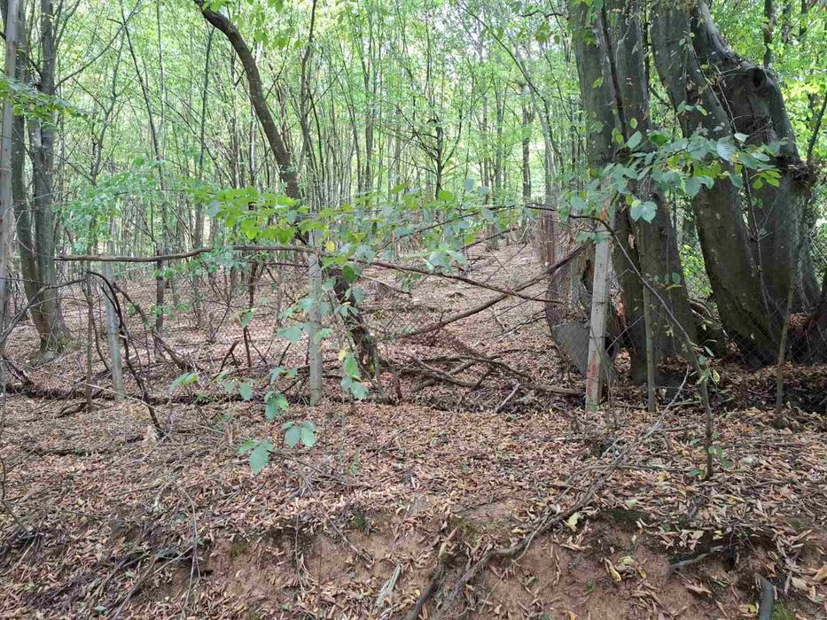 Продава парцел в Правец, махала Живковска