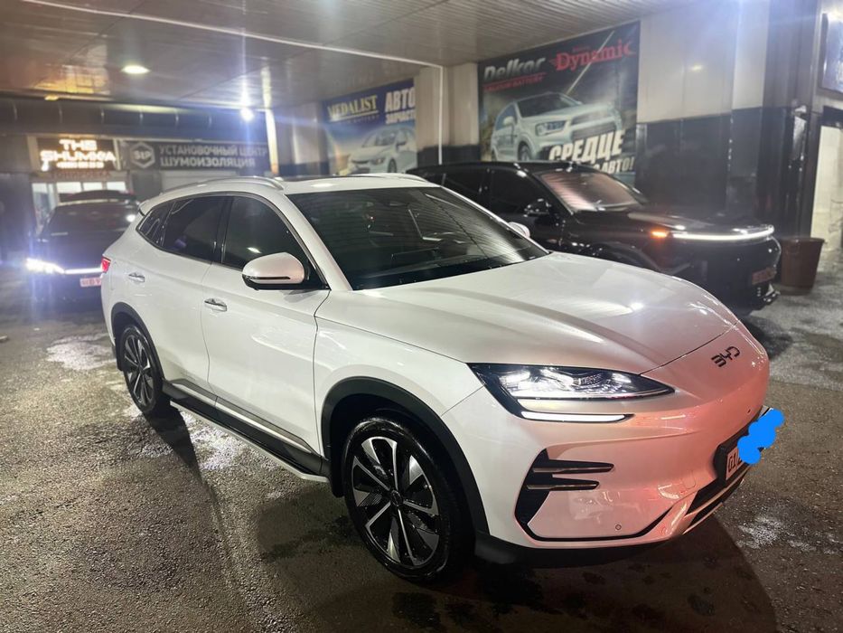 Byd CHAMPION 2024/25