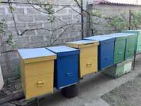 Cutii de stupi de vanzare