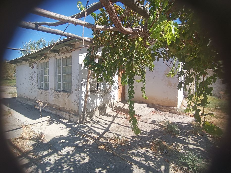 Uyni sharoitlari yaxshi