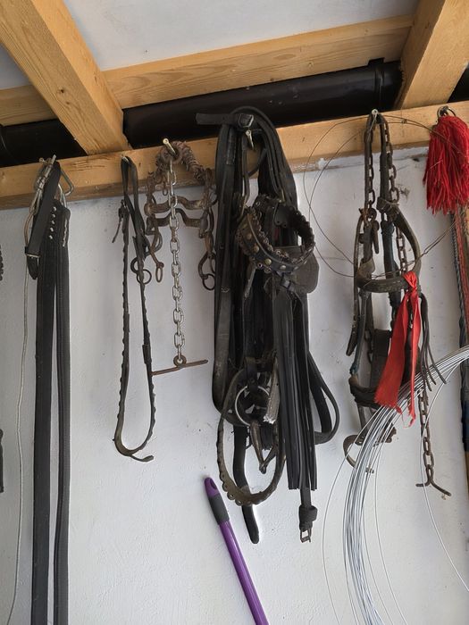 Vand ham Cal deosebit