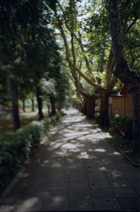 Лентов фотоапарат Yashica T3