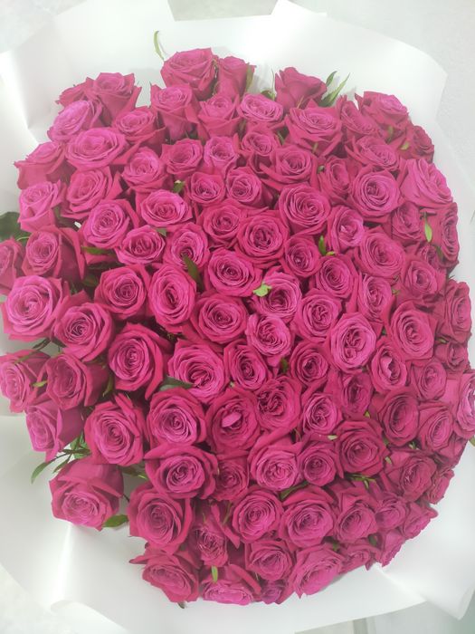 Продам цветы свежие