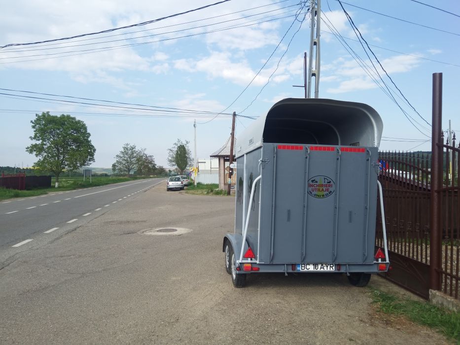 Transport Animale Vii - Moinesti