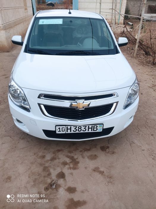 2024 каболит сотиладии