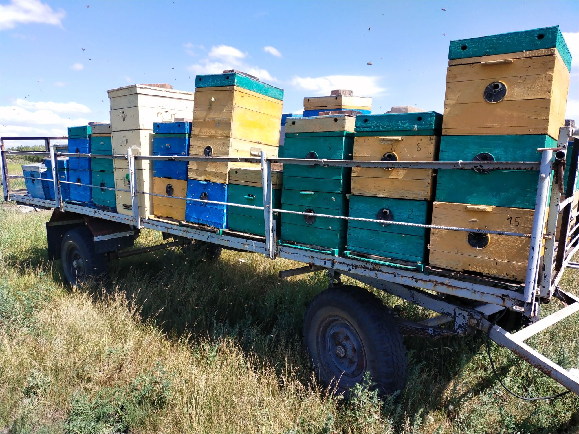 Продам прицеп пчеловодческий