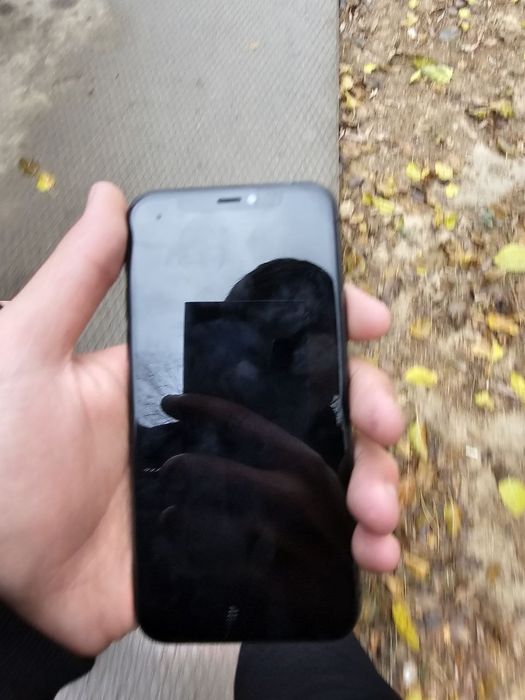 11pro srochna hola zor