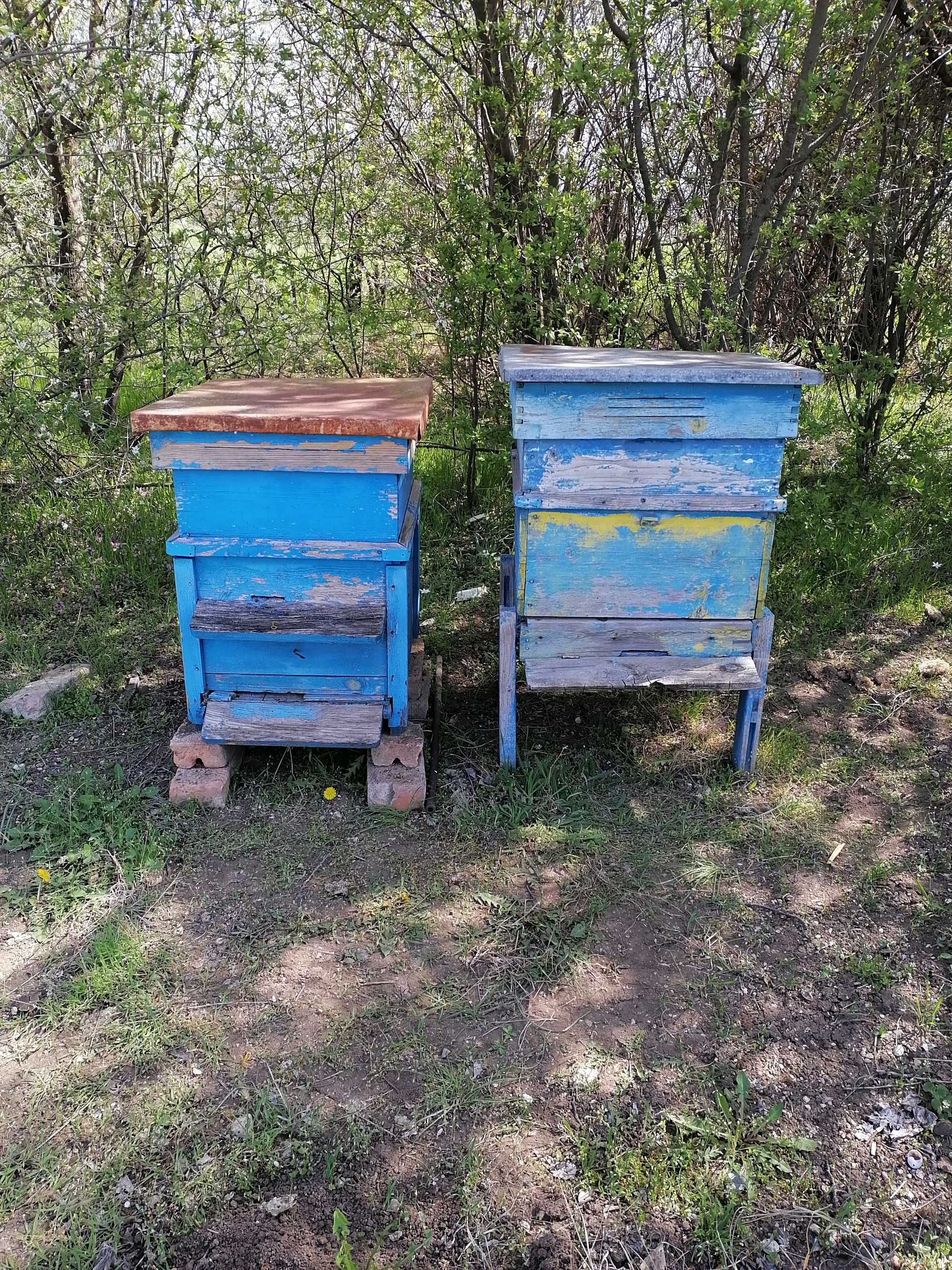 Продавам пчелни кошери