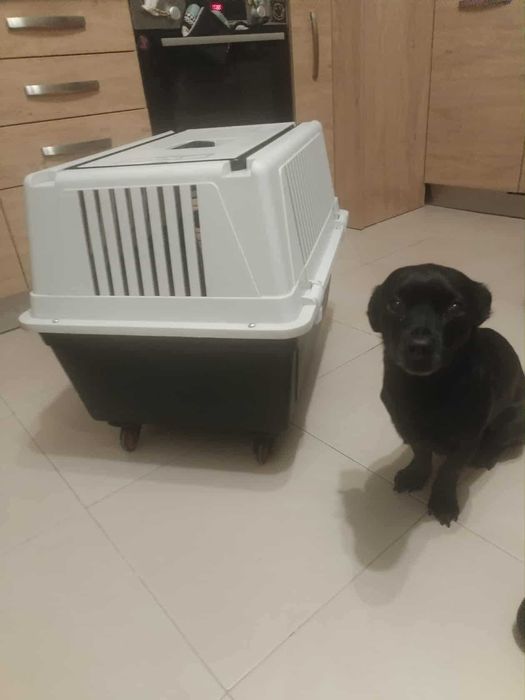 Клетка за домашни любимци (транспортна)