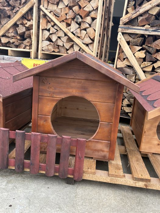 Cotete catei diferite dimensiuni