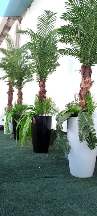 Искусственные деревья и растения. Суний гуллар ва дарахтлар. Цветы