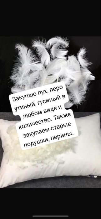 Гусь утка в любом введе дорого и также старые подушки перины