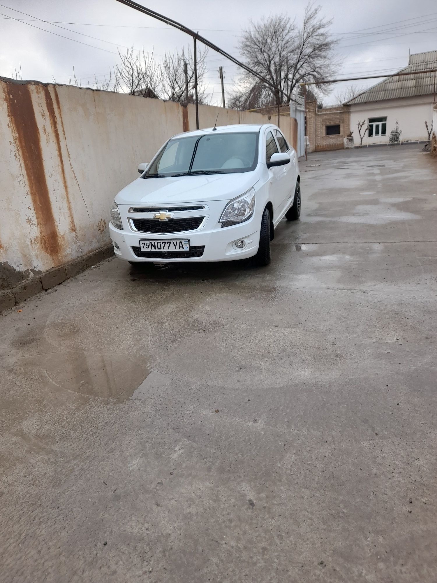 Cobalt LTZ xolati ideal