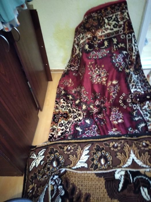 Covor  turcesc  290x190 cm