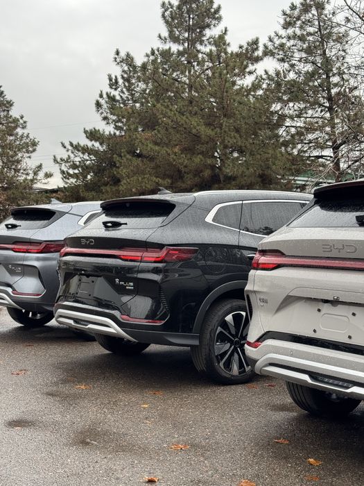 Byd song plus champion Smart Drive full