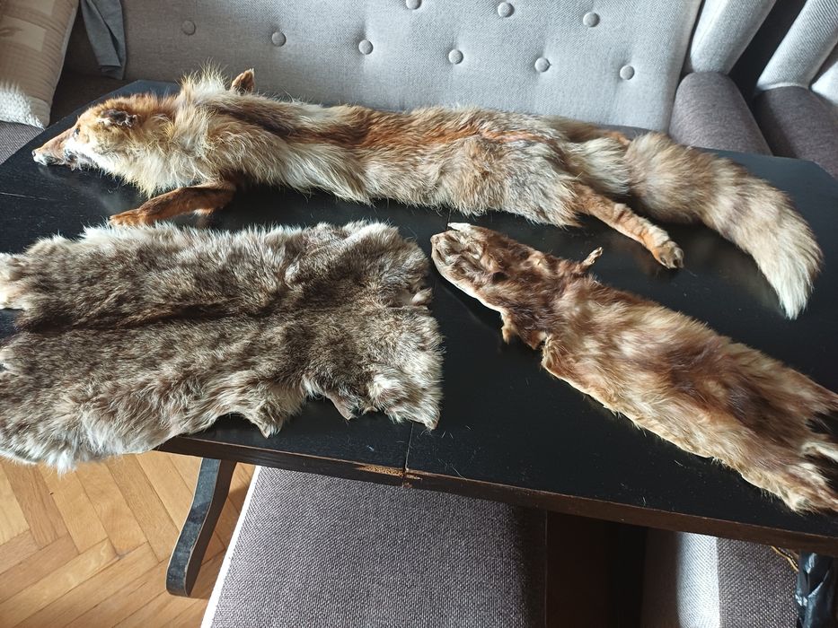 Лисица ,бялка и дива котка. Обработени кожи.