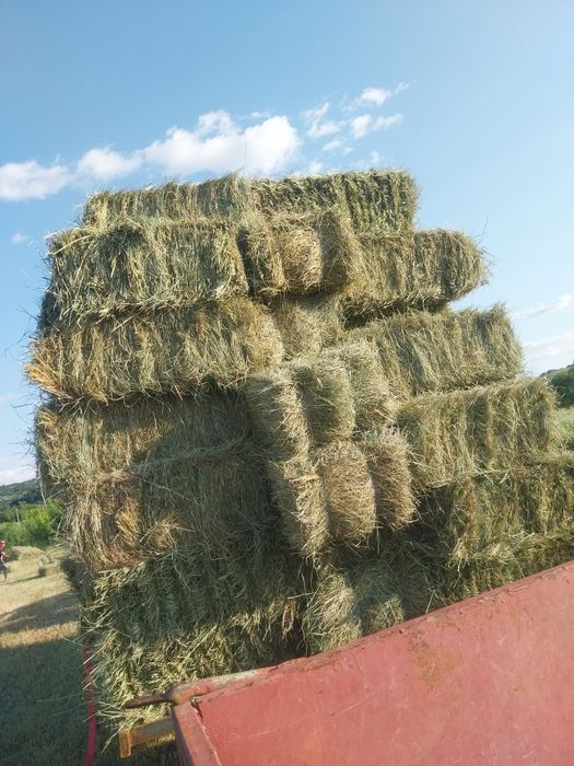 Baloti fan  baloti  paie