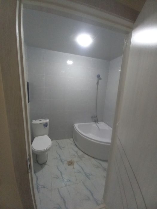 Motrid ijaraga beriladi