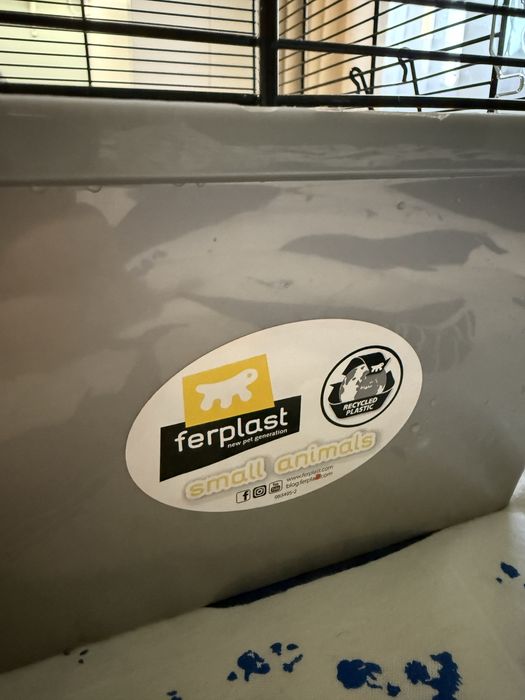 Cusca hamsteri pitici