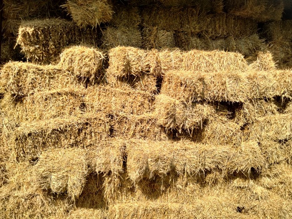 Vând baloți paie,lucernă,fan,amestec