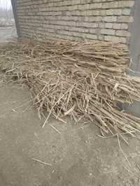 Xarvasta sifatida ishlatilinadigan Bambuk
