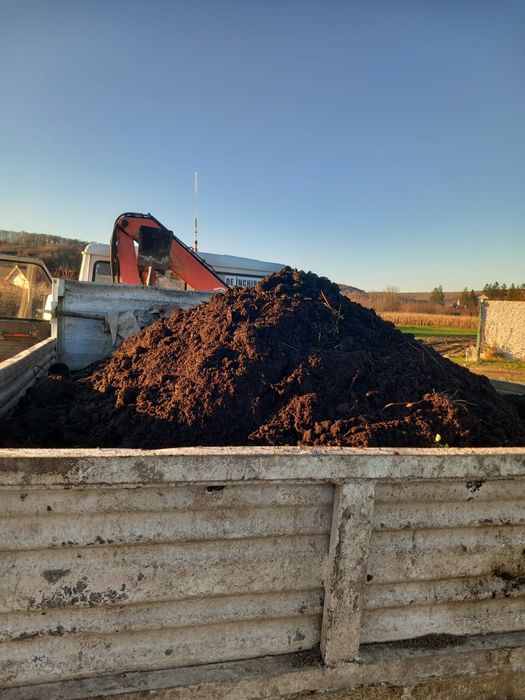 Gunoi de grajd vechi de vacă și bivol    calitate foarte bună