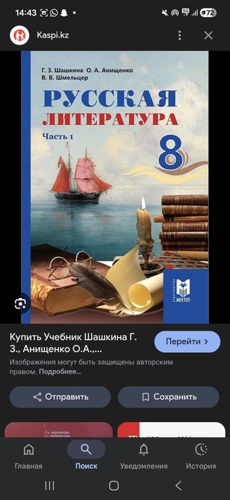 Книга 8 класс по литературе 2 части
